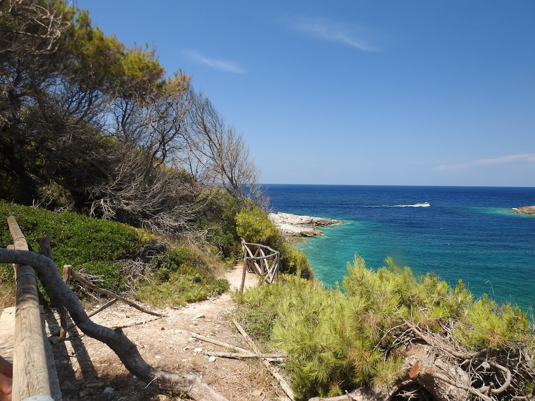 Guida allo Snorkeling alle Isole Tremiti